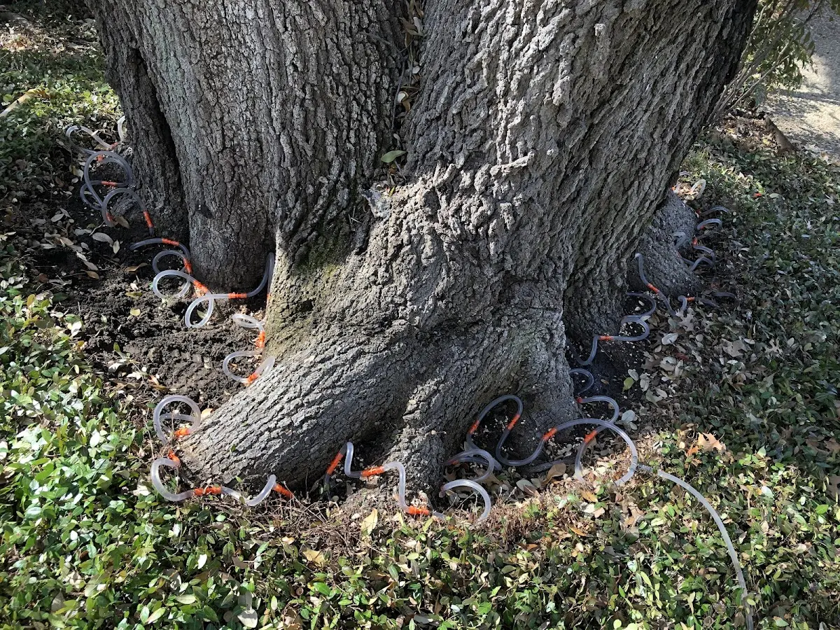 Detailed Shrub and Hedge Trimming job site in Winn